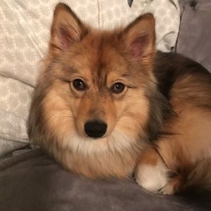 Meet your Posher, Michele